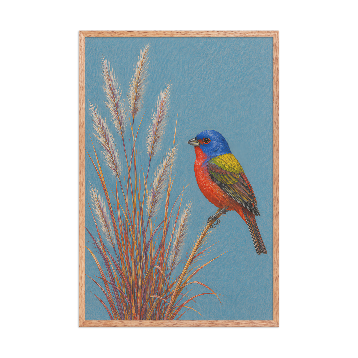 Framed Painted Bunting colored pencil illustration in prairie grass, dusty blue background, wood frame wall art