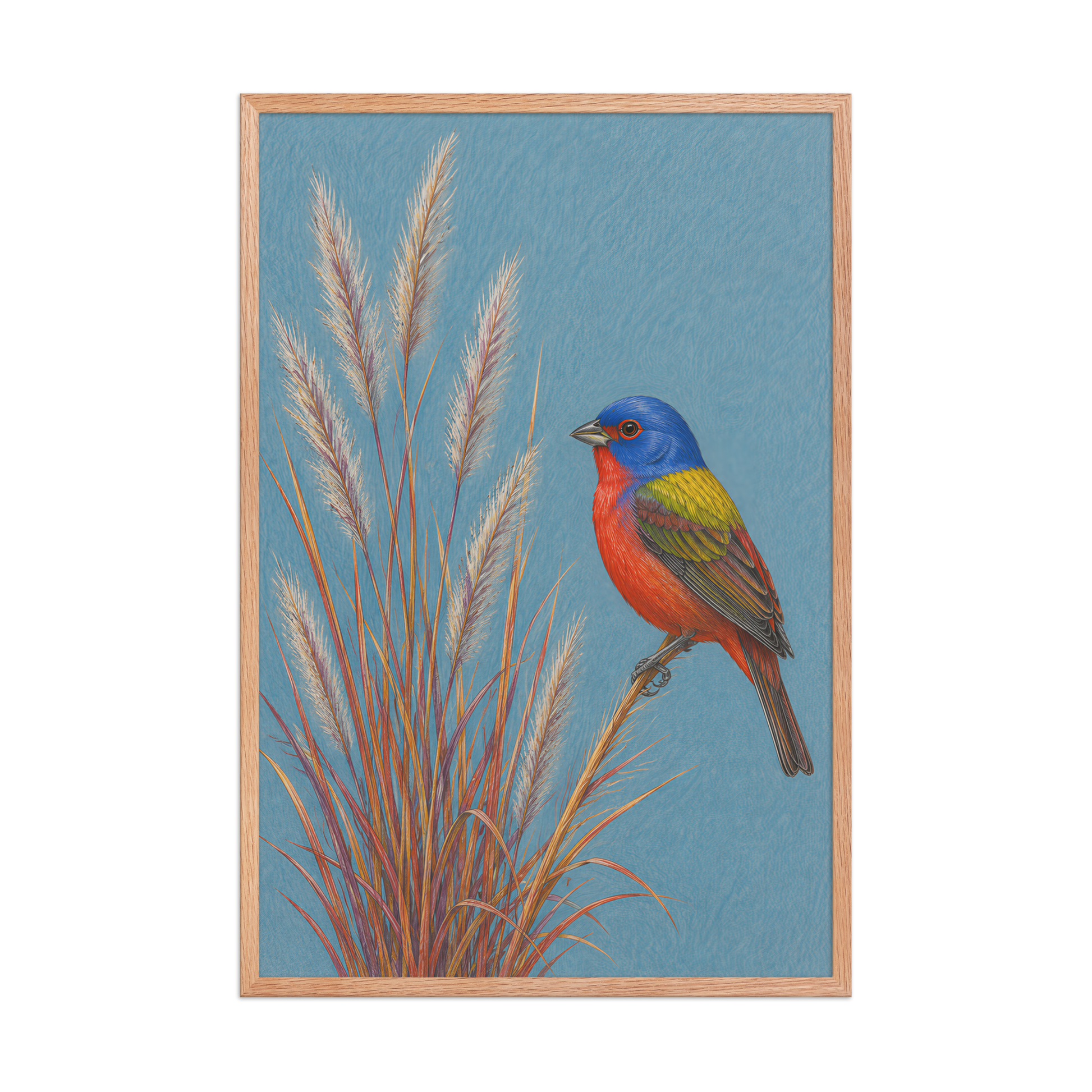 Framed Painted Bunting colored pencil illustration in prairie grass, dusty blue background, wood frame wall art