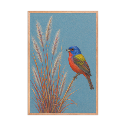 Framed Painted Bunting colored pencil illustration in prairie grass, dusty blue background, wood frame wall art