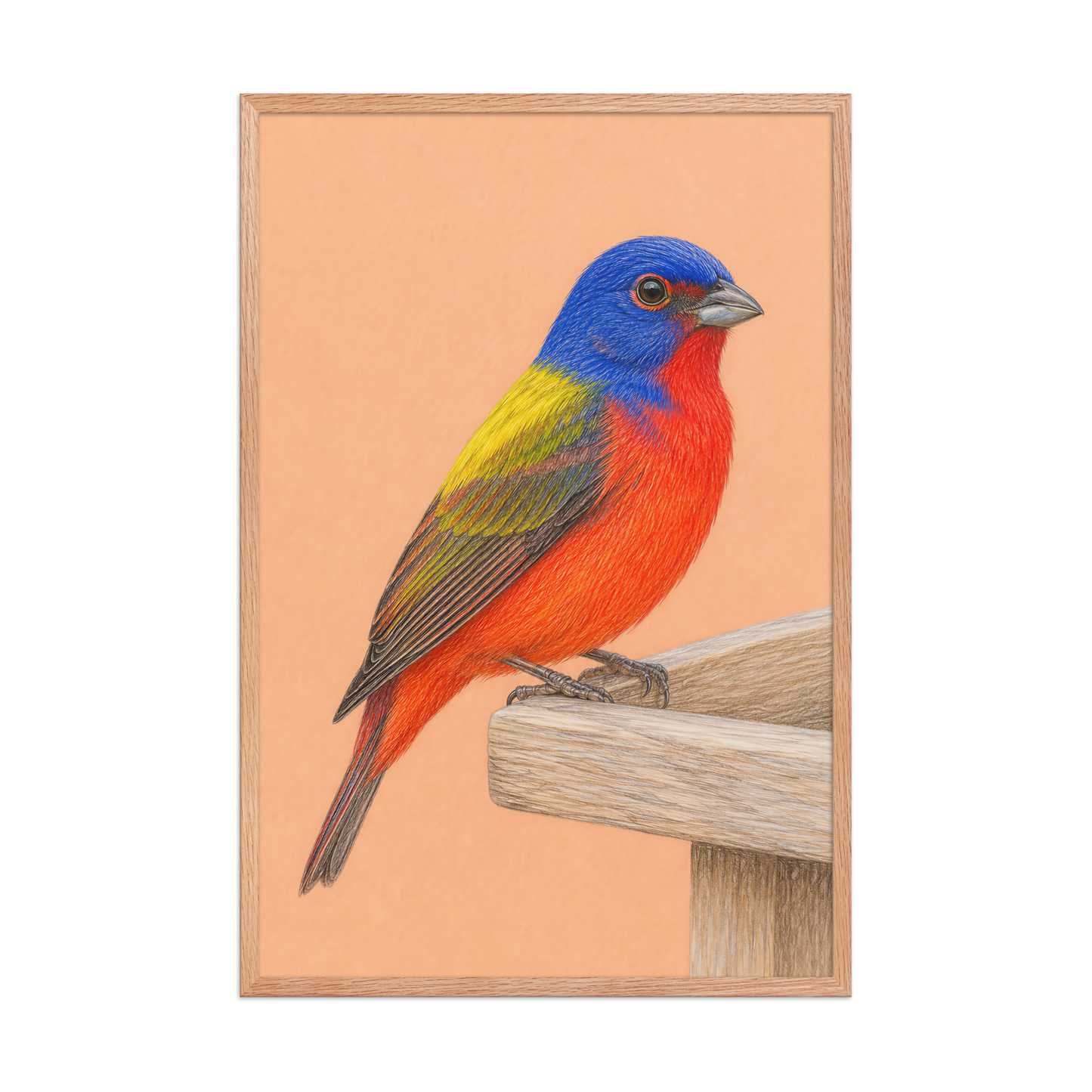 Framed Painted Bunting colored pencil illustration on wooden feeder, apricot background, wood frame wall art