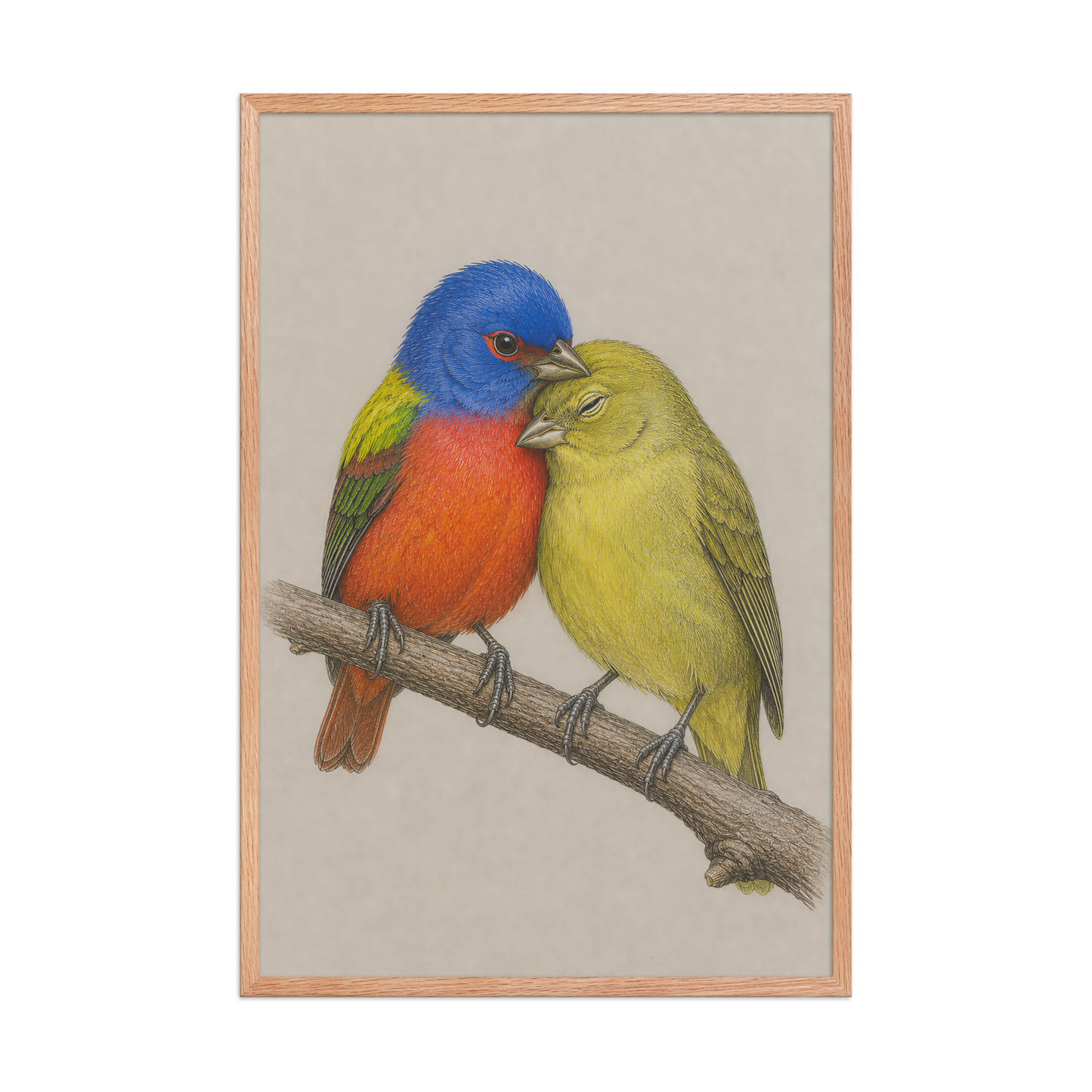 Framed male and female Painted Bunting pair colored pencil illustration, wood frame wall art