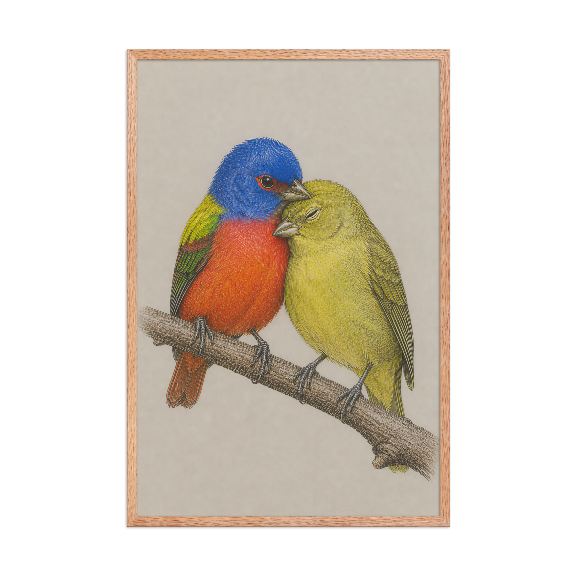 Framed male and female Painted Bunting pair colored pencil illustration, wood frame wall art