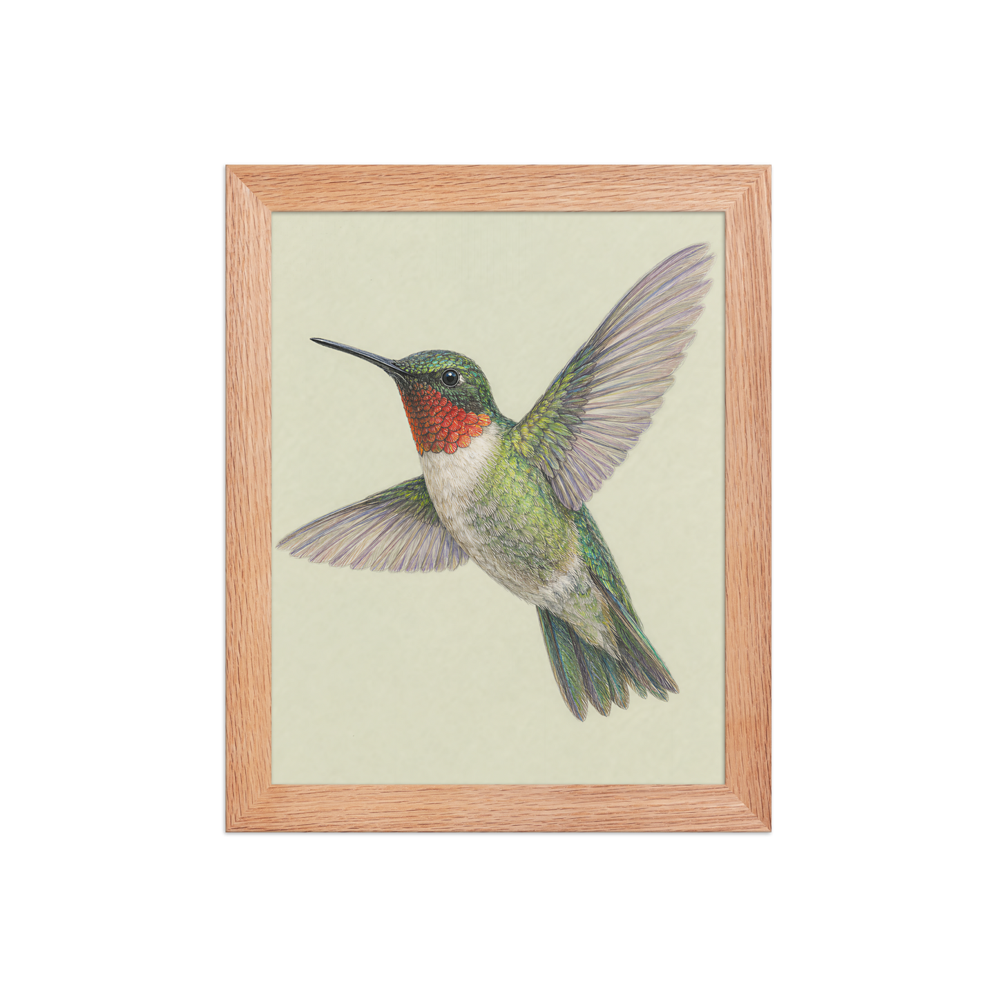 Framed Ruby-throated hummingbird colored pencil illustration print on sage green pastel background, wood frame wall art