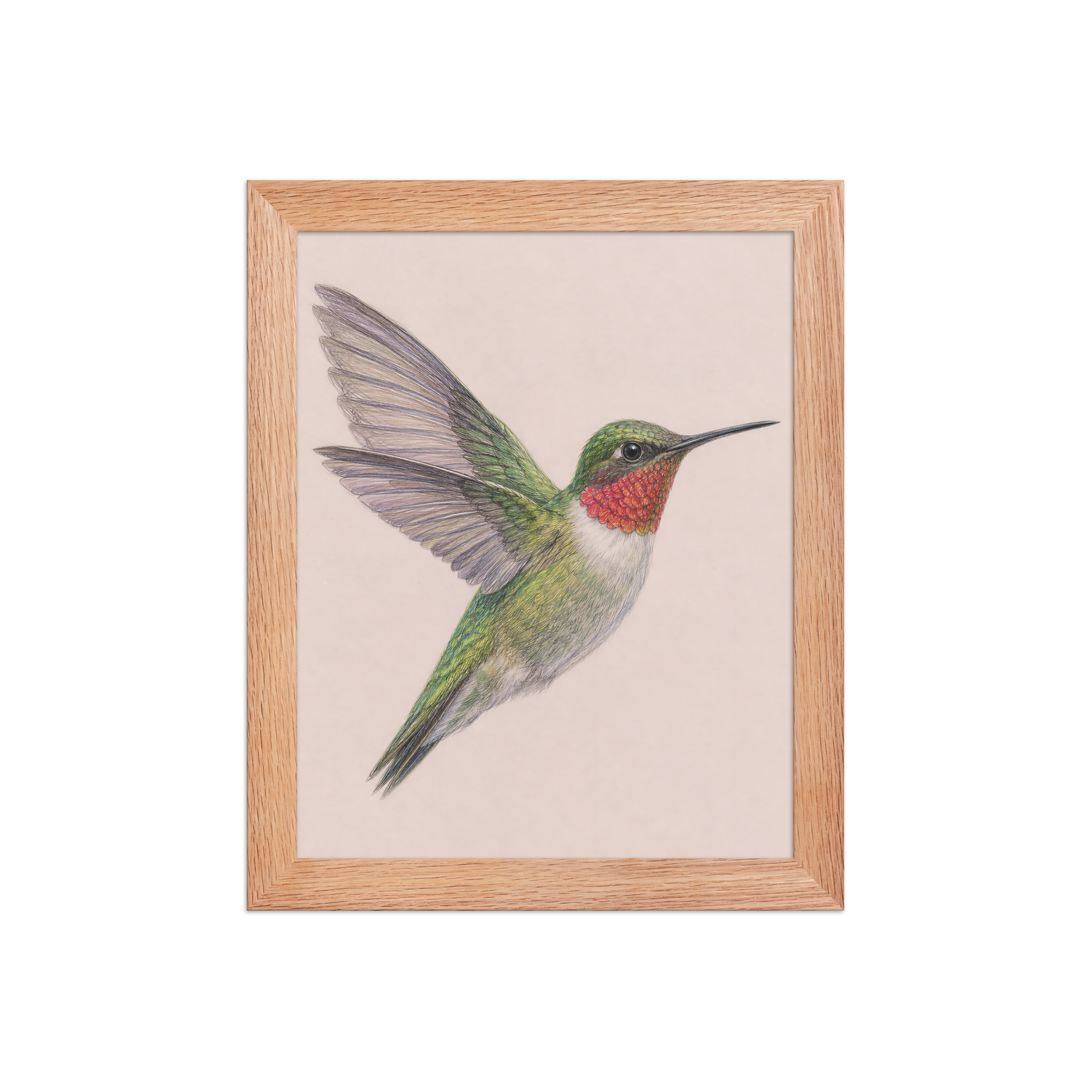 Framed Ruby-throated hummingbird colored pencil illustration print on dusty rose pastel background, wood frame wall art