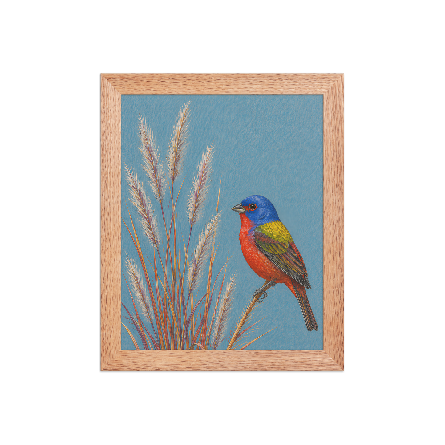 Framed Painted Bunting colored pencil illustration in prairie grass, dusty blue background, wood frame wall art
