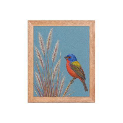Framed Painted Bunting colored pencil illustration in prairie grass, dusty blue background, wood frame wall art