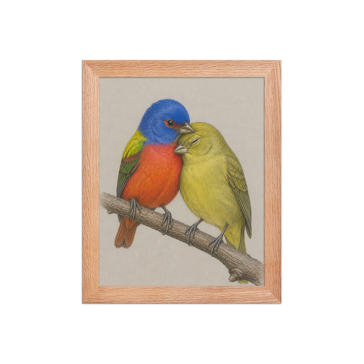 Framed male and female Painted Bunting pair colored pencil illustration, wood frame wall art