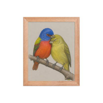 Framed male and female Painted Bunting pair colored pencil illustration, wood frame wall art