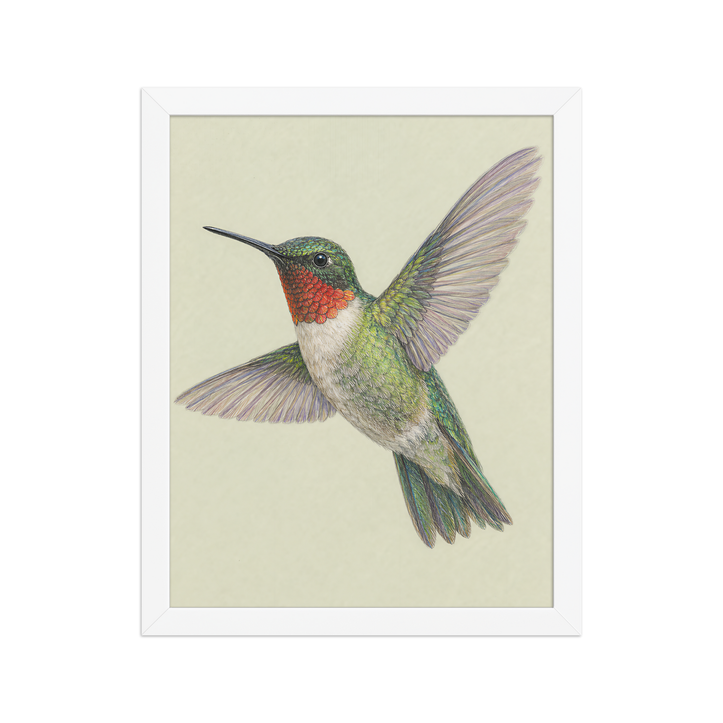 Framed Ruby-throated hummingbird colored pencil illustration print on sage green pastel background, wood frame wall art