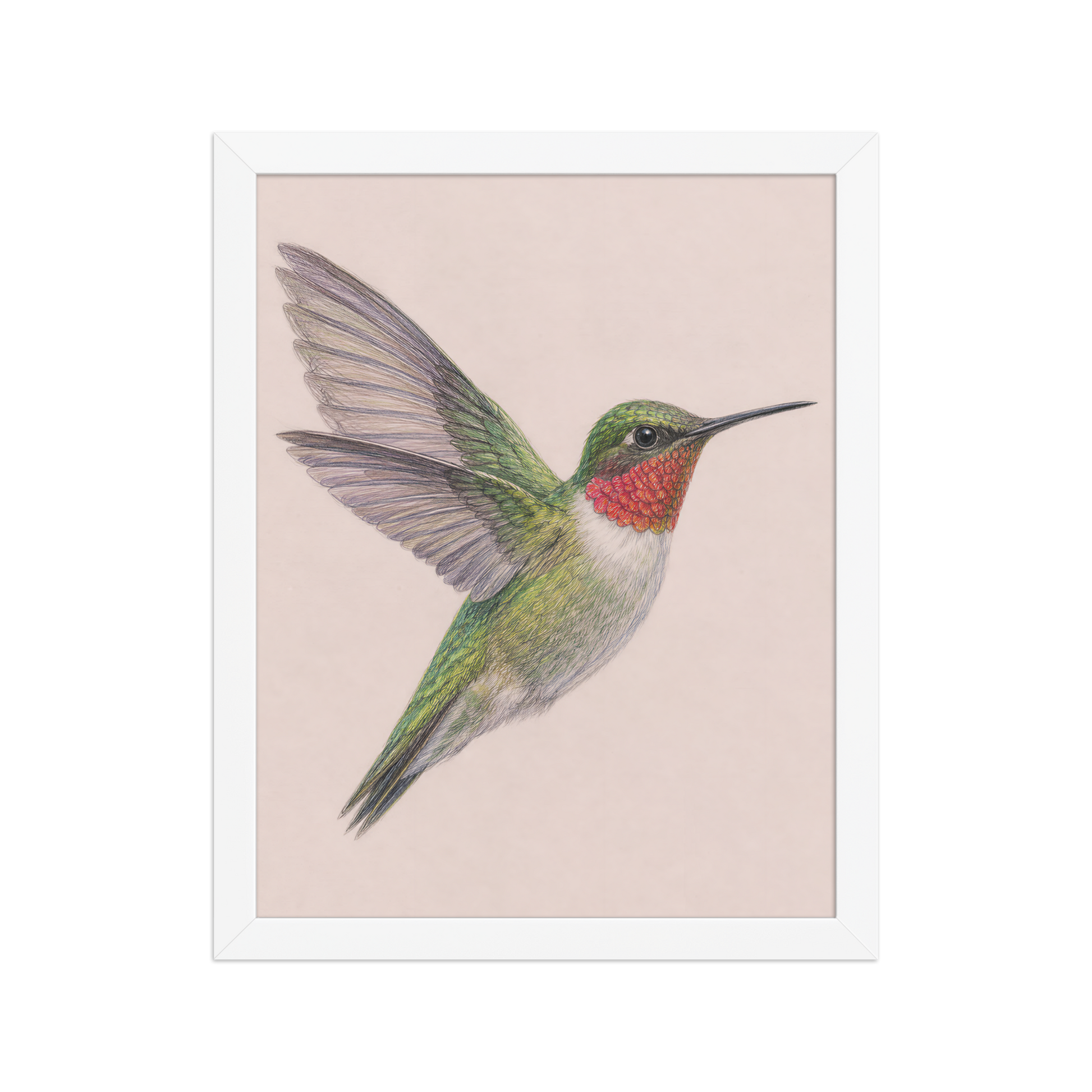Framed Ruby-throated hummingbird colored pencil illustration print on dusty rose pastel background, wood frame wall art