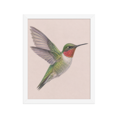 Framed Ruby-throated hummingbird colored pencil illustration print on dusty rose pastel background, wood frame wall art