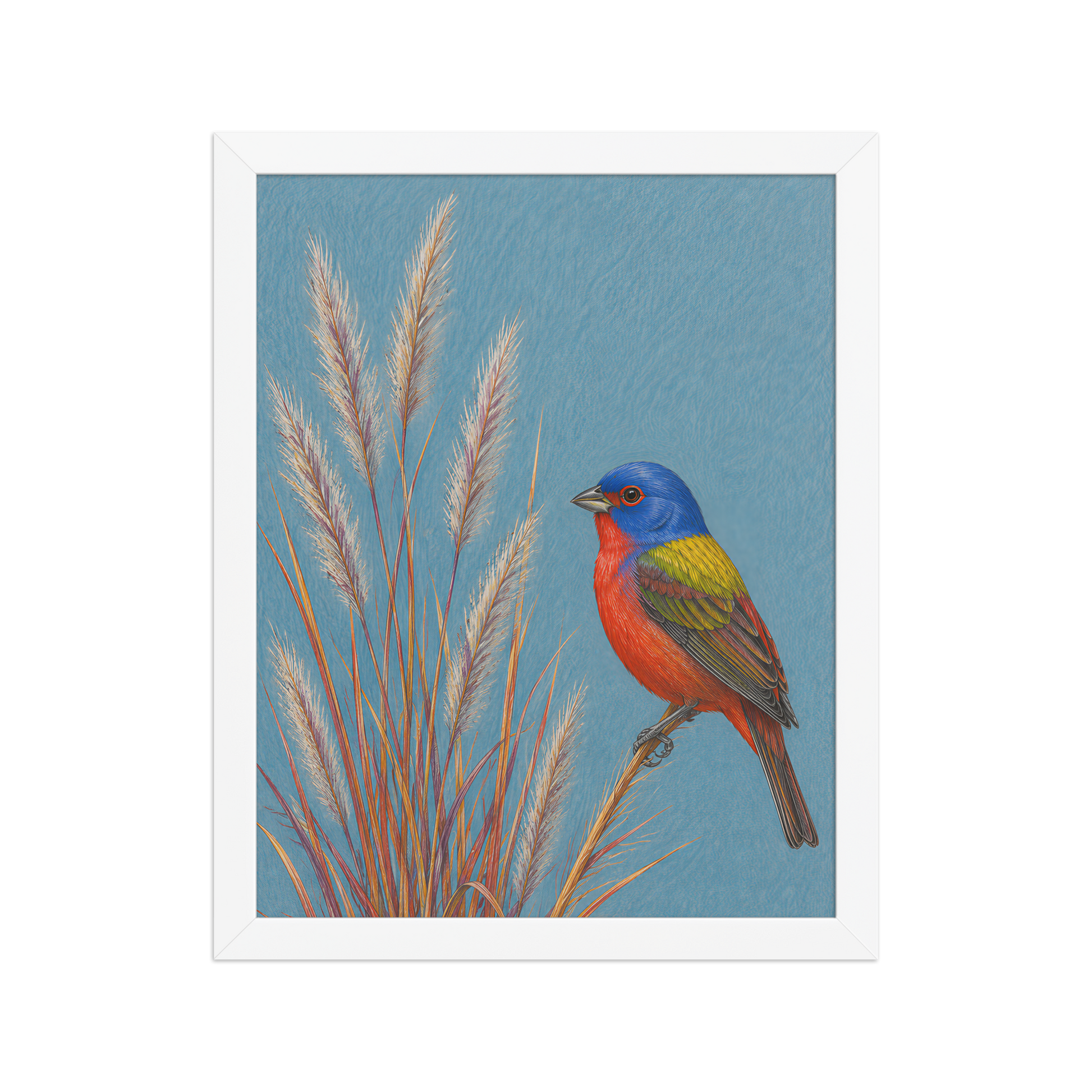 Framed Painted Bunting colored pencil illustration in prairie grass, dusty blue background, wood frame wall art