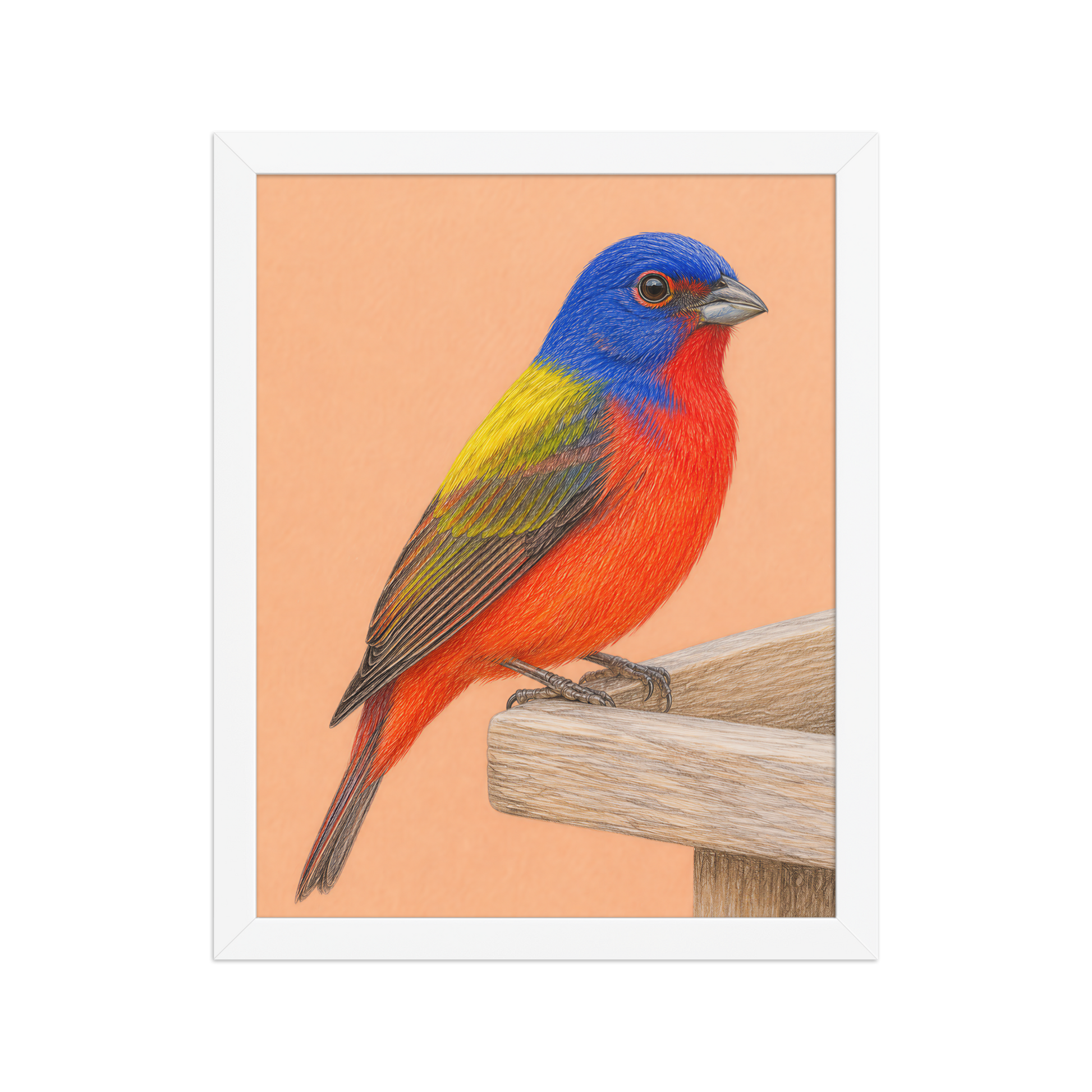 Framed Painted Bunting colored pencil illustration on wooden feeder, apricot background, wood frame wall art