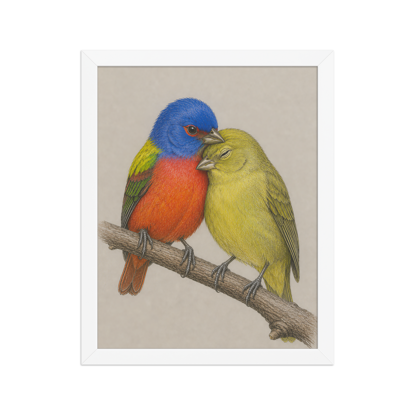 Framed male and female Painted Bunting pair colored pencil illustration, wood frame wall art