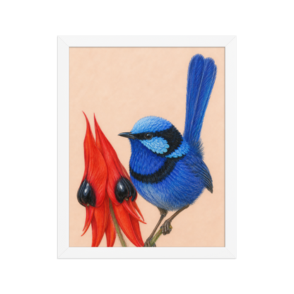 Framed Splendid Fairywren blue wren colored pencil illustration, terracotta background, wood frame wall art