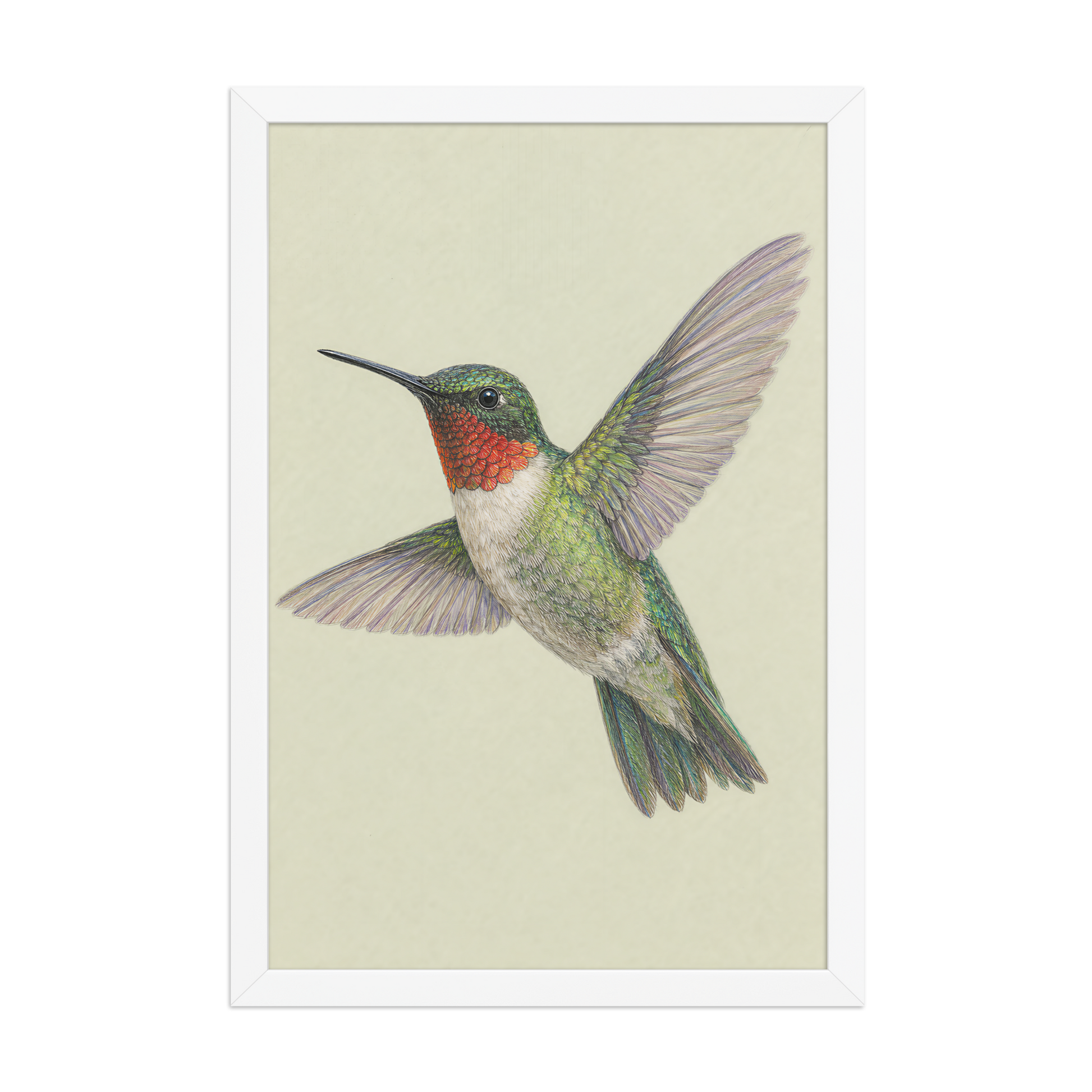 Framed Ruby-throated hummingbird colored pencil illustration print on sage green pastel background, wood frame wall art