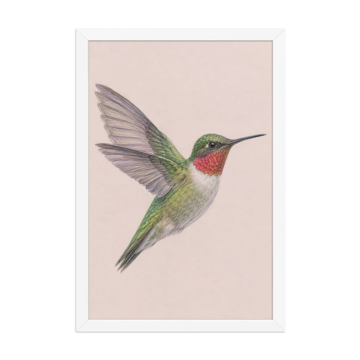 Framed Ruby-throated hummingbird colored pencil illustration print on dusty rose pastel background, wood frame wall art