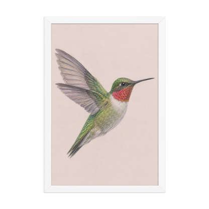Framed Ruby-throated hummingbird colored pencil illustration print on dusty rose pastel background, wood frame wall art