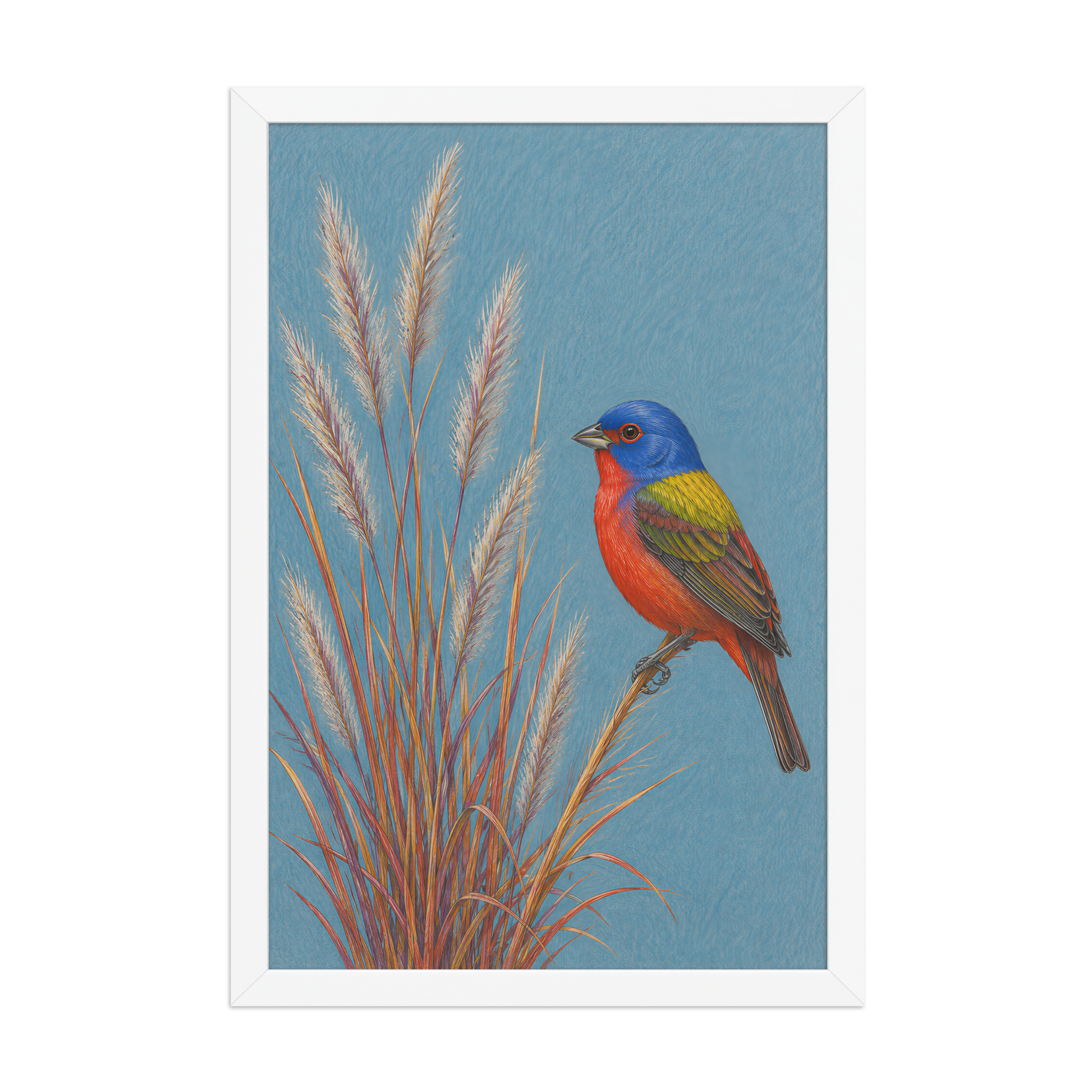 Framed Painted Bunting colored pencil illustration in prairie grass, dusty blue background, wood frame wall art