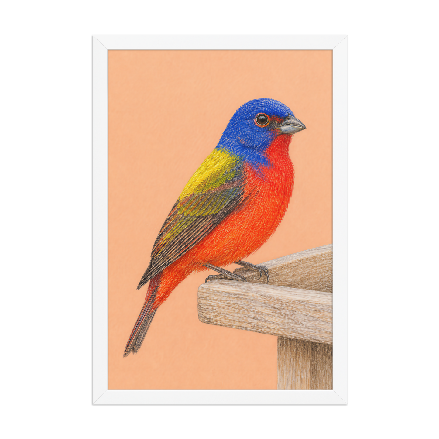 Framed Painted Bunting colored pencil illustration on wooden feeder, apricot background, wood frame wall art