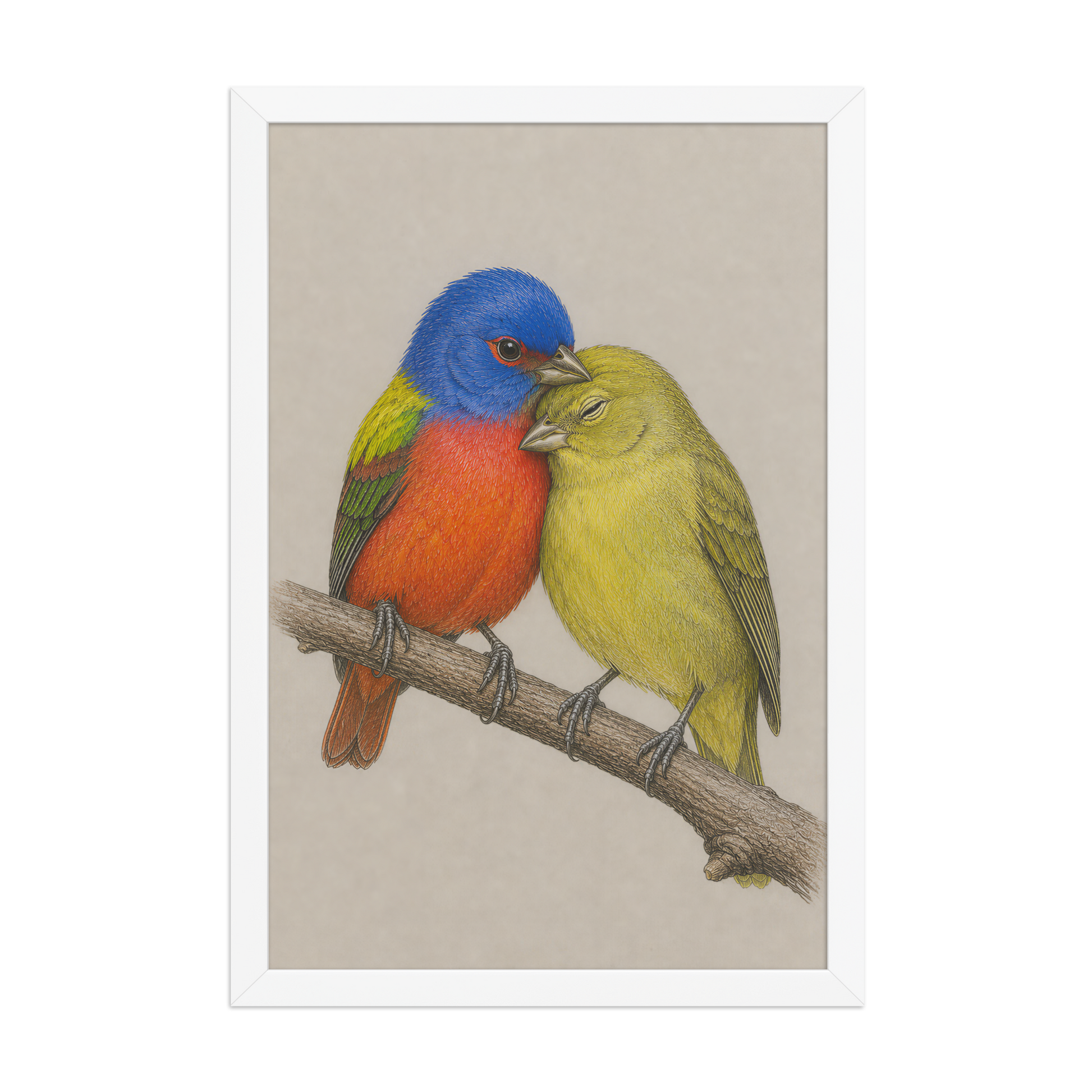 Framed male and female Painted Bunting pair colored pencil illustration, wood frame wall art