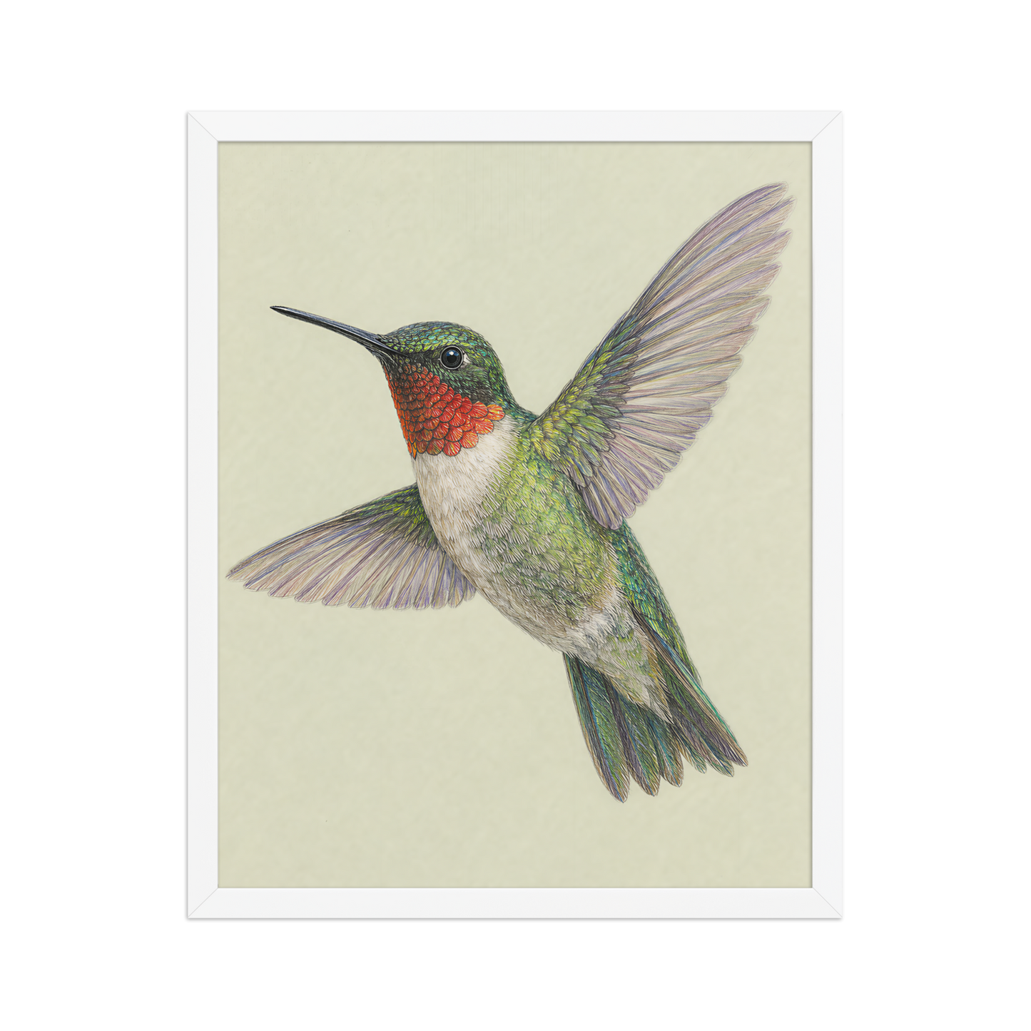 Framed Ruby-throated hummingbird colored pencil illustration print on sage green pastel background, wood frame wall art