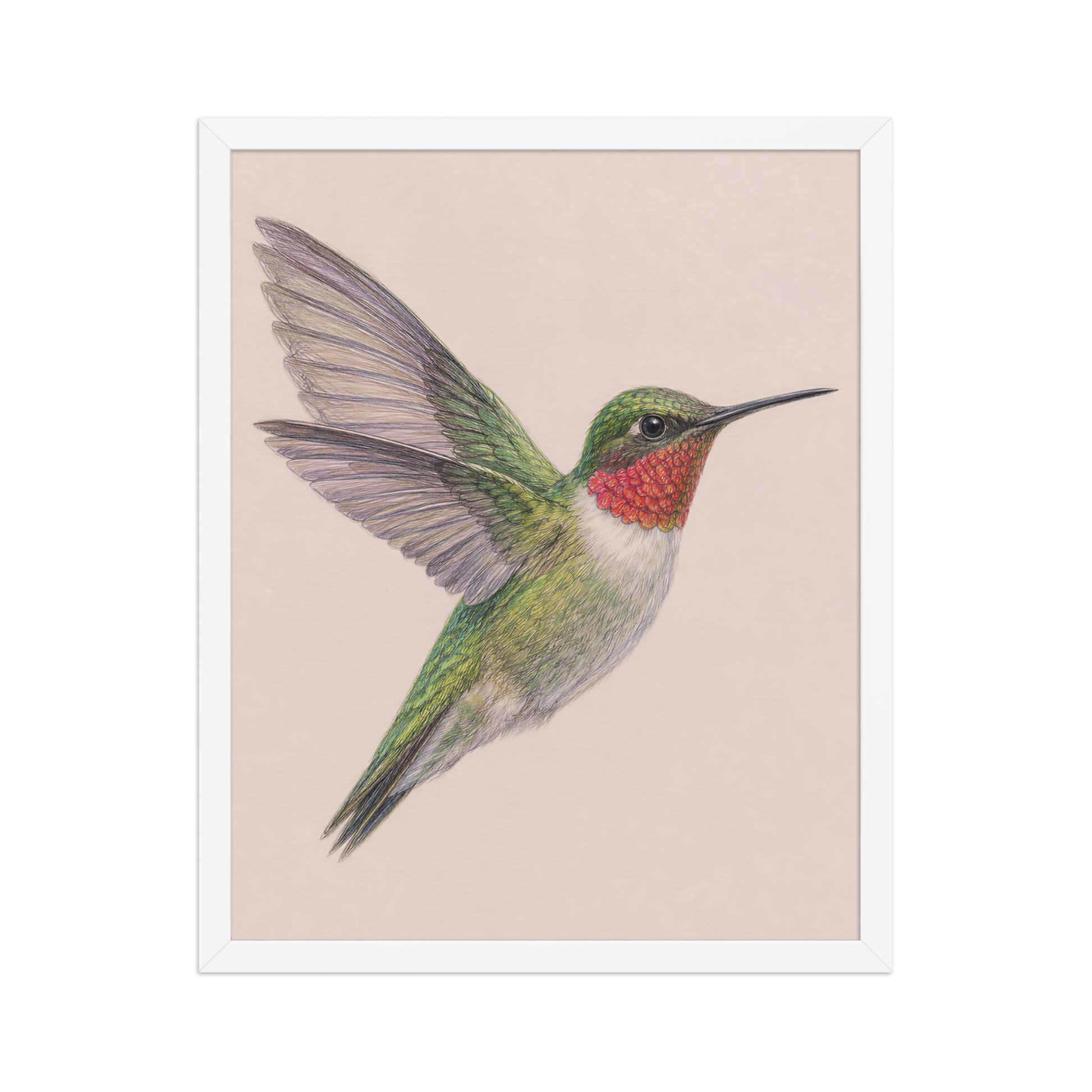 Framed Ruby-throated hummingbird colored pencil illustration print on dusty rose pastel background, wood frame wall art