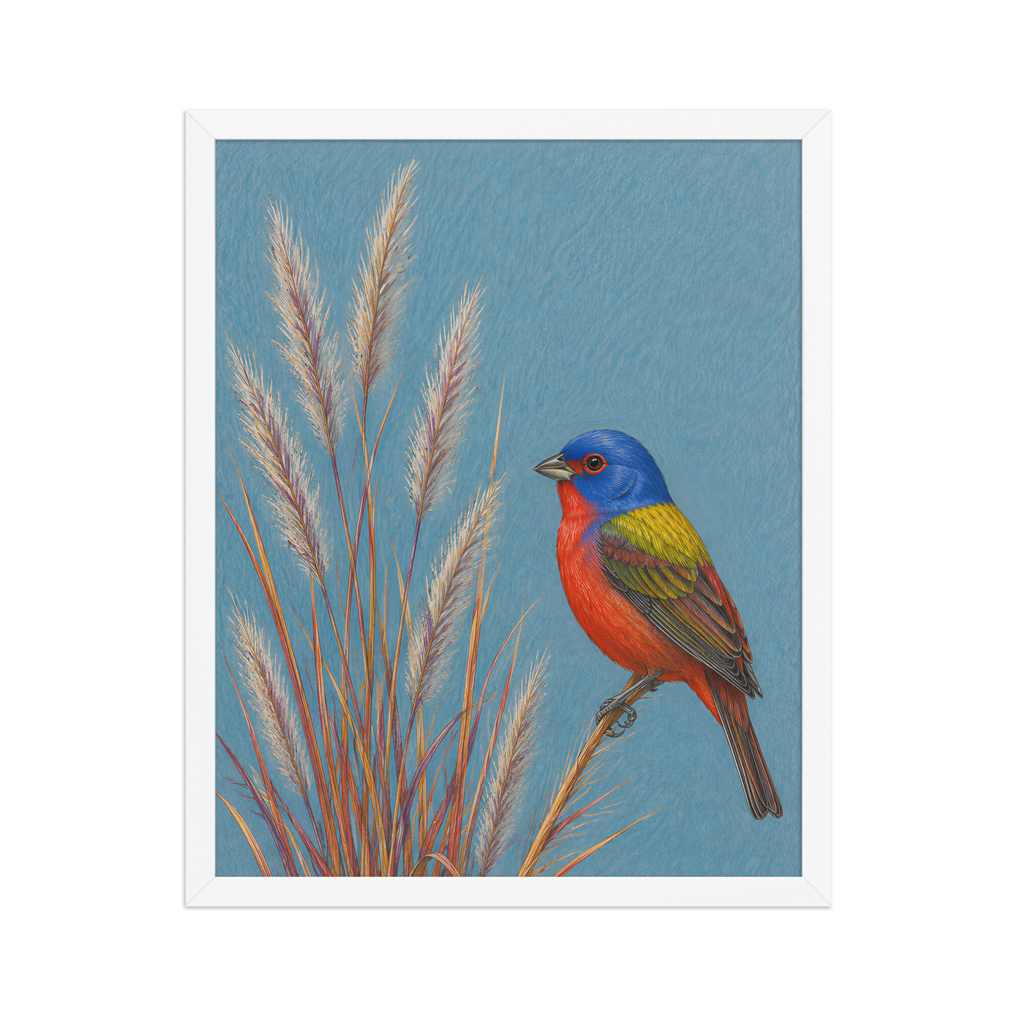 Framed Painted Bunting colored pencil illustration in prairie grass, dusty blue background, wood frame wall art