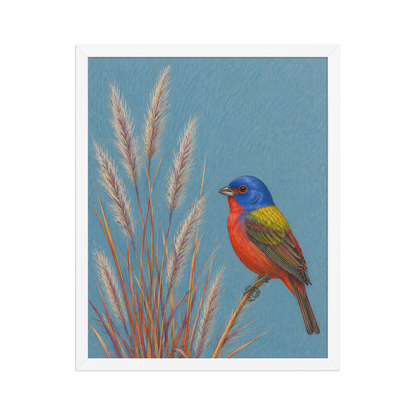 Framed Painted Bunting colored pencil illustration in prairie grass, dusty blue background, wood frame wall art