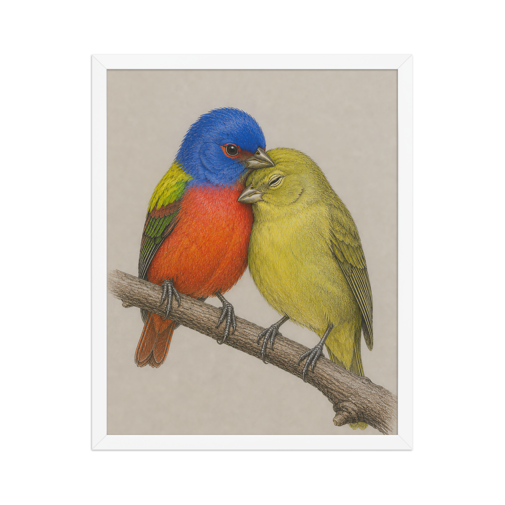 Framed male and female Painted Bunting pair colored pencil illustration, wood frame wall art