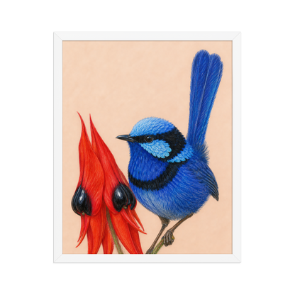 Framed Splendid Fairywren blue wren colored pencil illustration, terracotta background, wood frame wall art