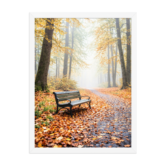 Framed autumn park bench wall art, foggy forest path fall leaves calm aesthetic poster, black frame, JMTR Jeometry Store