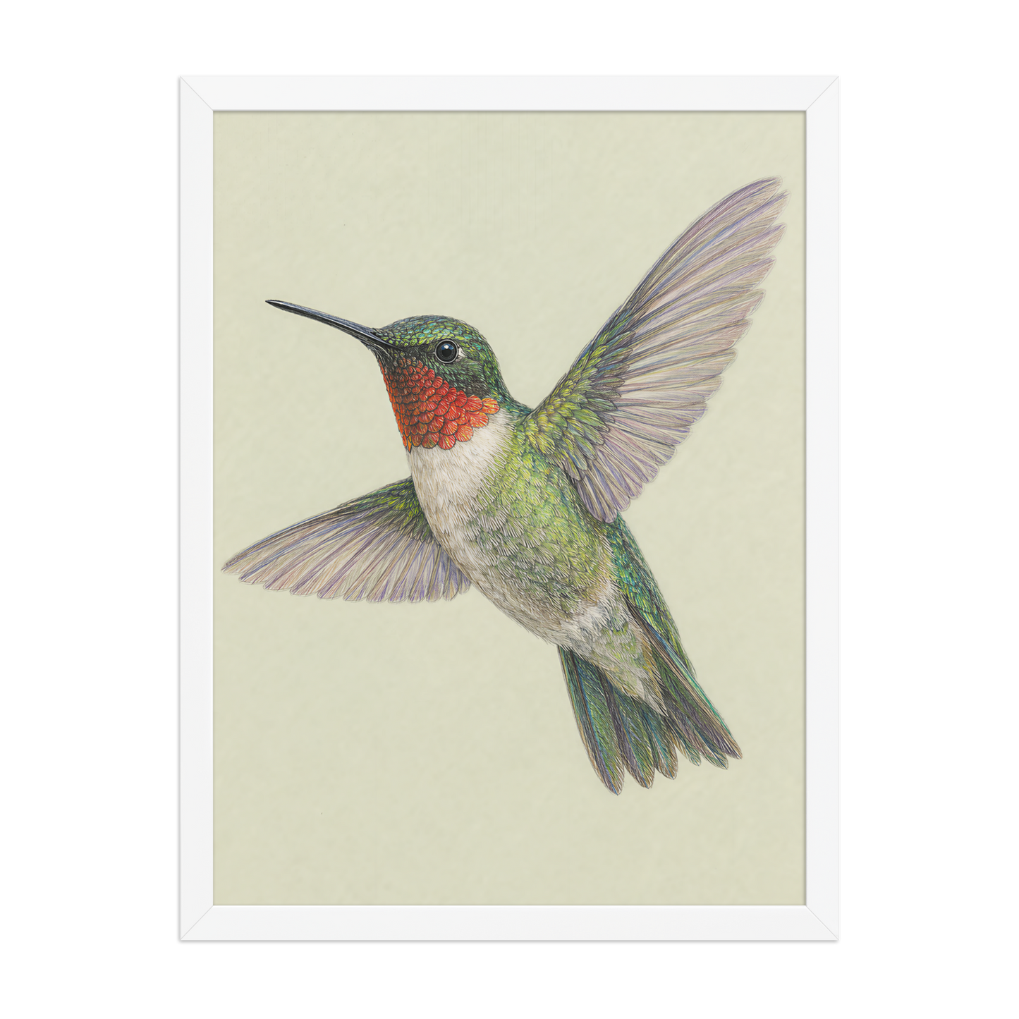Framed Ruby-throated hummingbird colored pencil illustration print on sage green pastel background, wood frame wall art