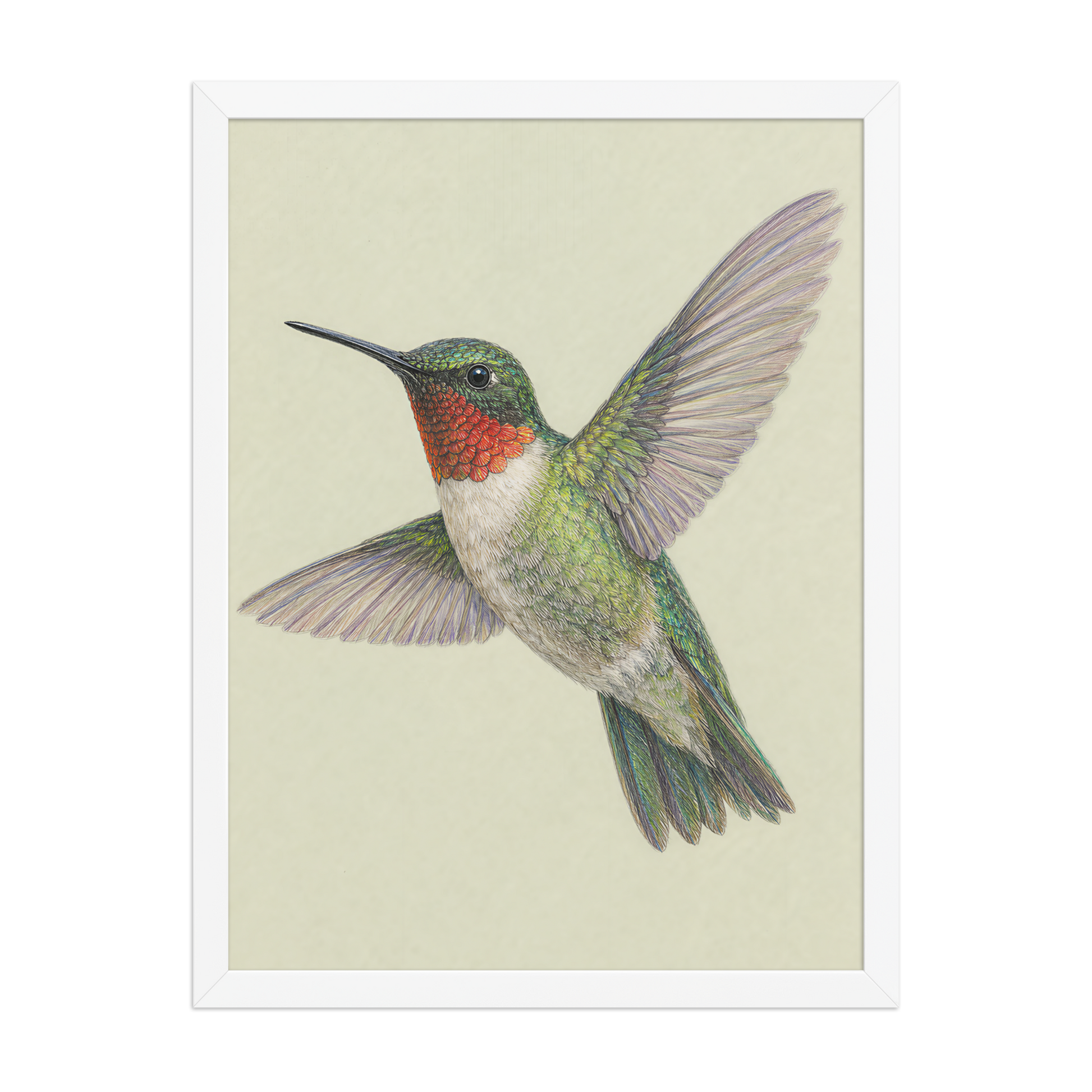 Framed Ruby-throated hummingbird colored pencil illustration print on sage green pastel background, wood frame wall art