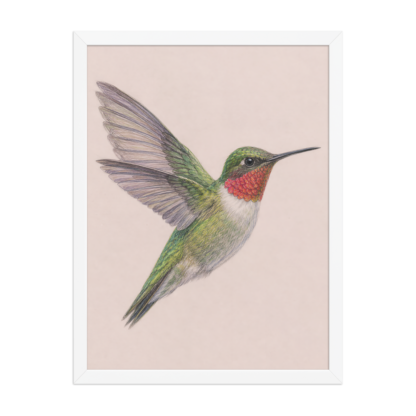 Framed Ruby-throated hummingbird colored pencil illustration print on dusty rose pastel background, wood frame wall art