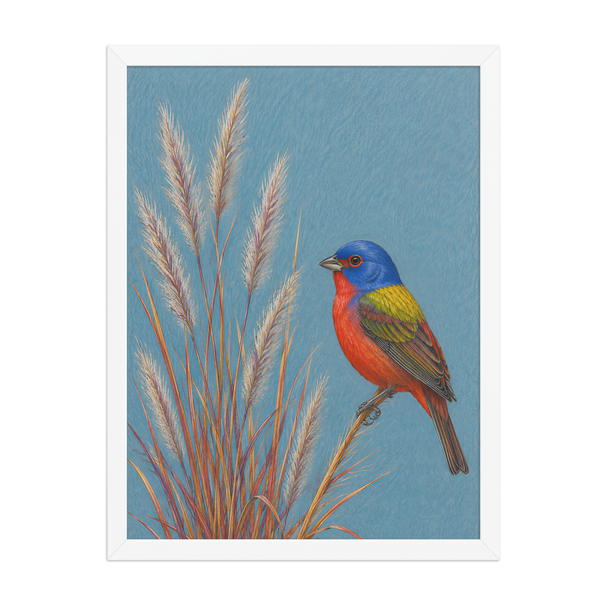 Framed Painted Bunting colored pencil illustration in prairie grass, dusty blue background, wood frame wall art