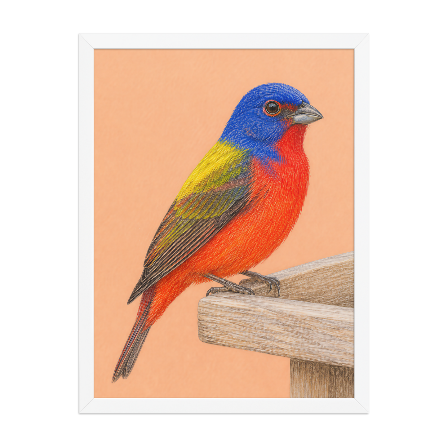 Framed Painted Bunting colored pencil illustration on wooden feeder, apricot background, wood frame wall art