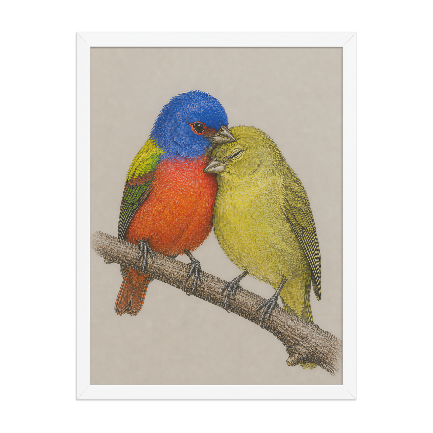 Framed male and female Painted Bunting pair colored pencil illustration, wood frame wall art
