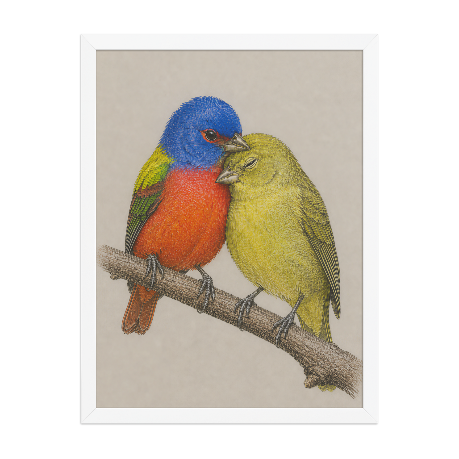 Framed male and female Painted Bunting pair colored pencil illustration, wood frame wall art