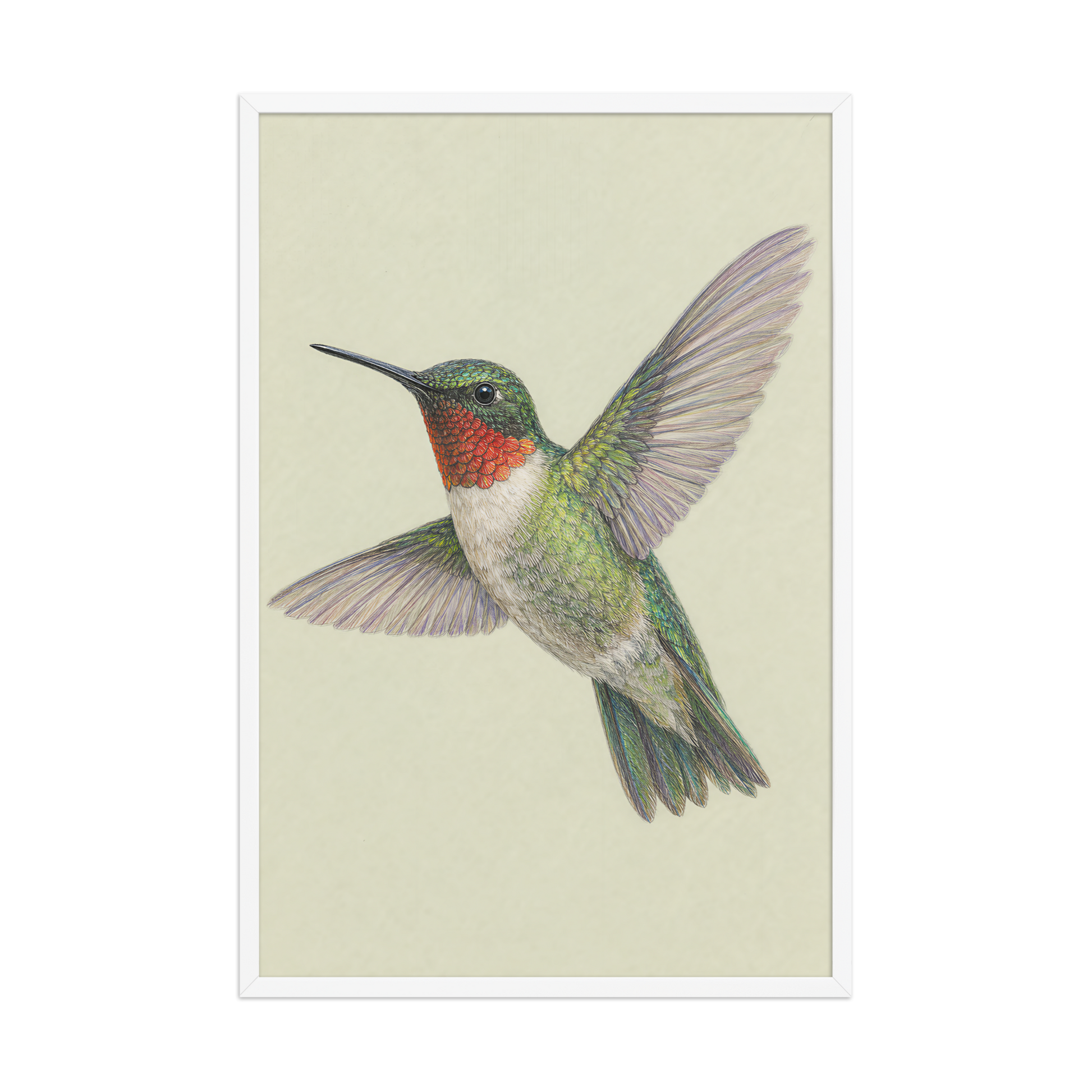 Framed Ruby-throated hummingbird colored pencil illustration print on sage green pastel background, wood frame wall art