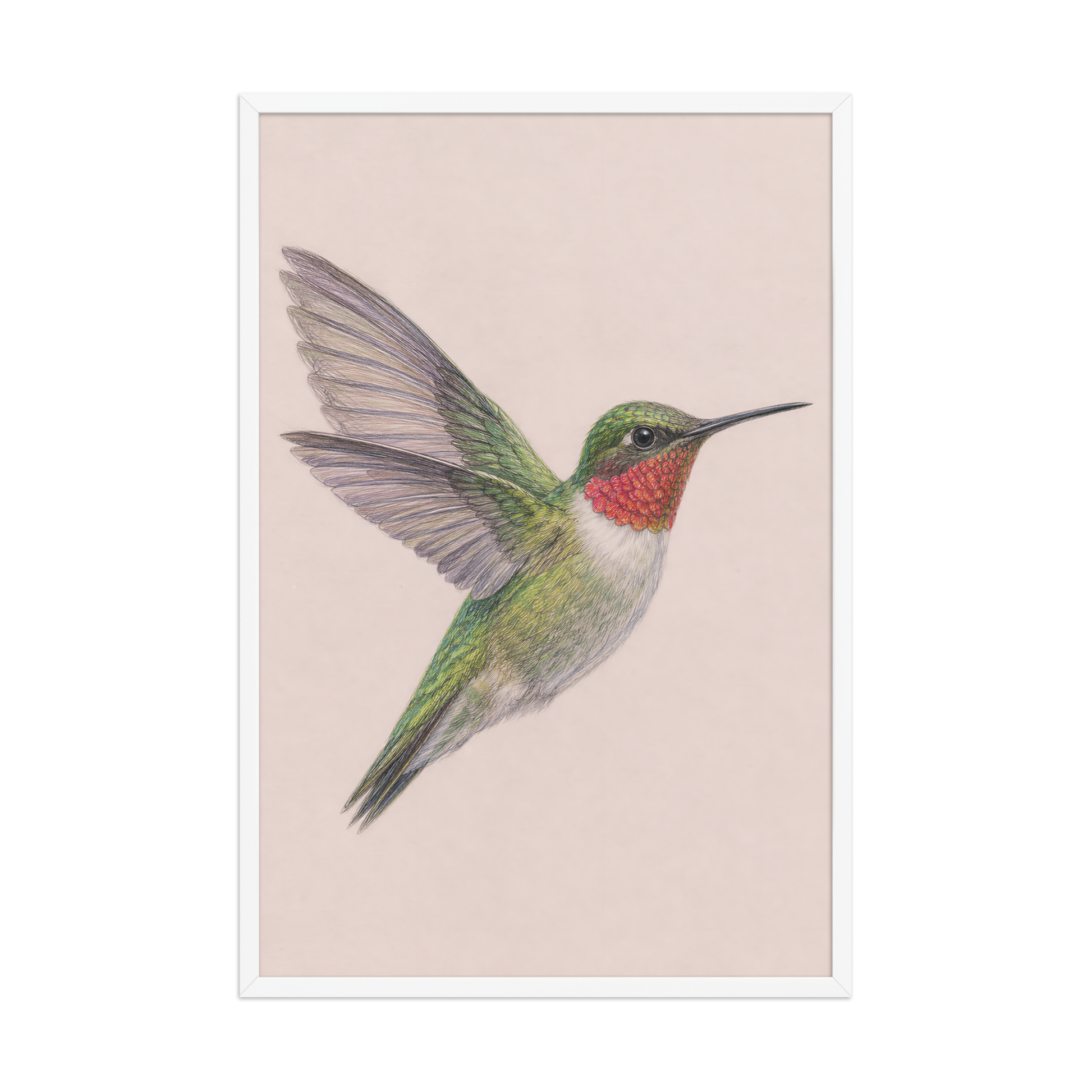 Framed Ruby-throated hummingbird colored pencil illustration print on dusty rose pastel background, wood frame wall art