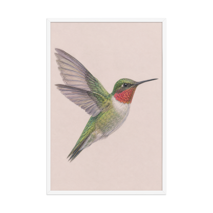 Framed Ruby-throated hummingbird colored pencil illustration print on dusty rose pastel background, wood frame wall art