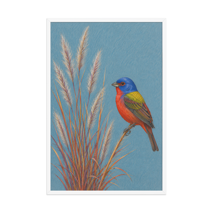 Framed Painted Bunting colored pencil illustration in prairie grass, dusty blue background, wood frame wall art