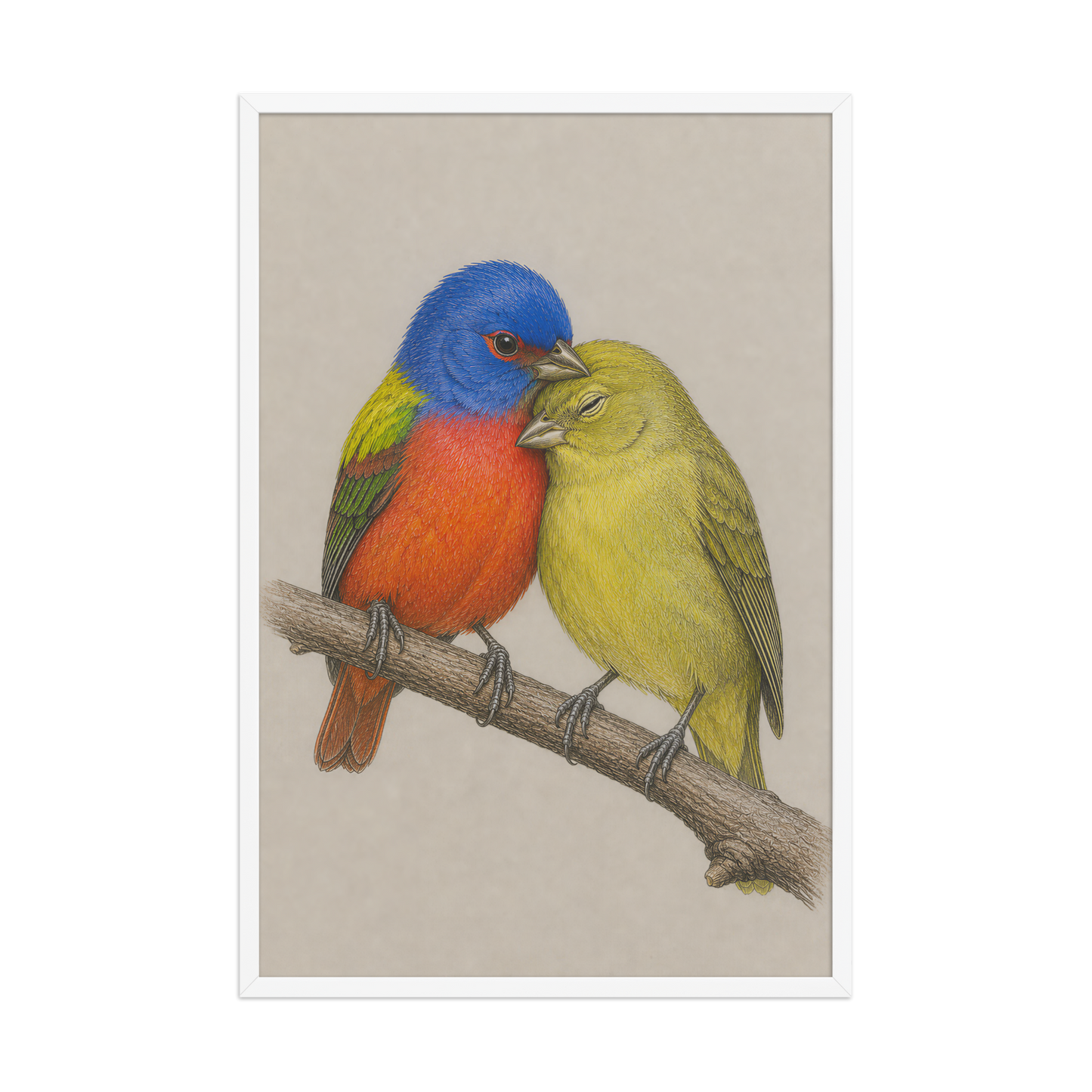 Framed male and female Painted Bunting pair colored pencil illustration, wood frame wall art