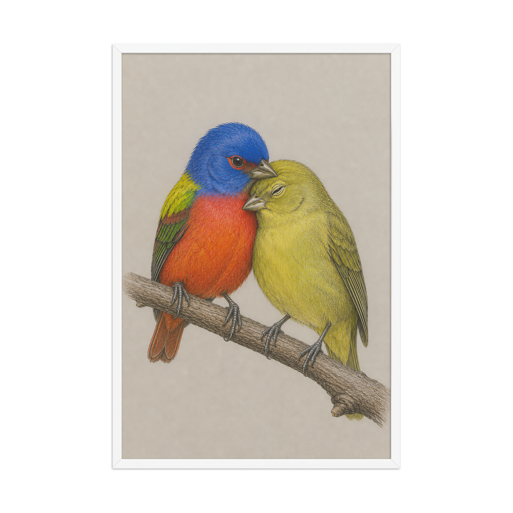 Framed male and female Painted Bunting pair colored pencil illustration, wood frame wall art