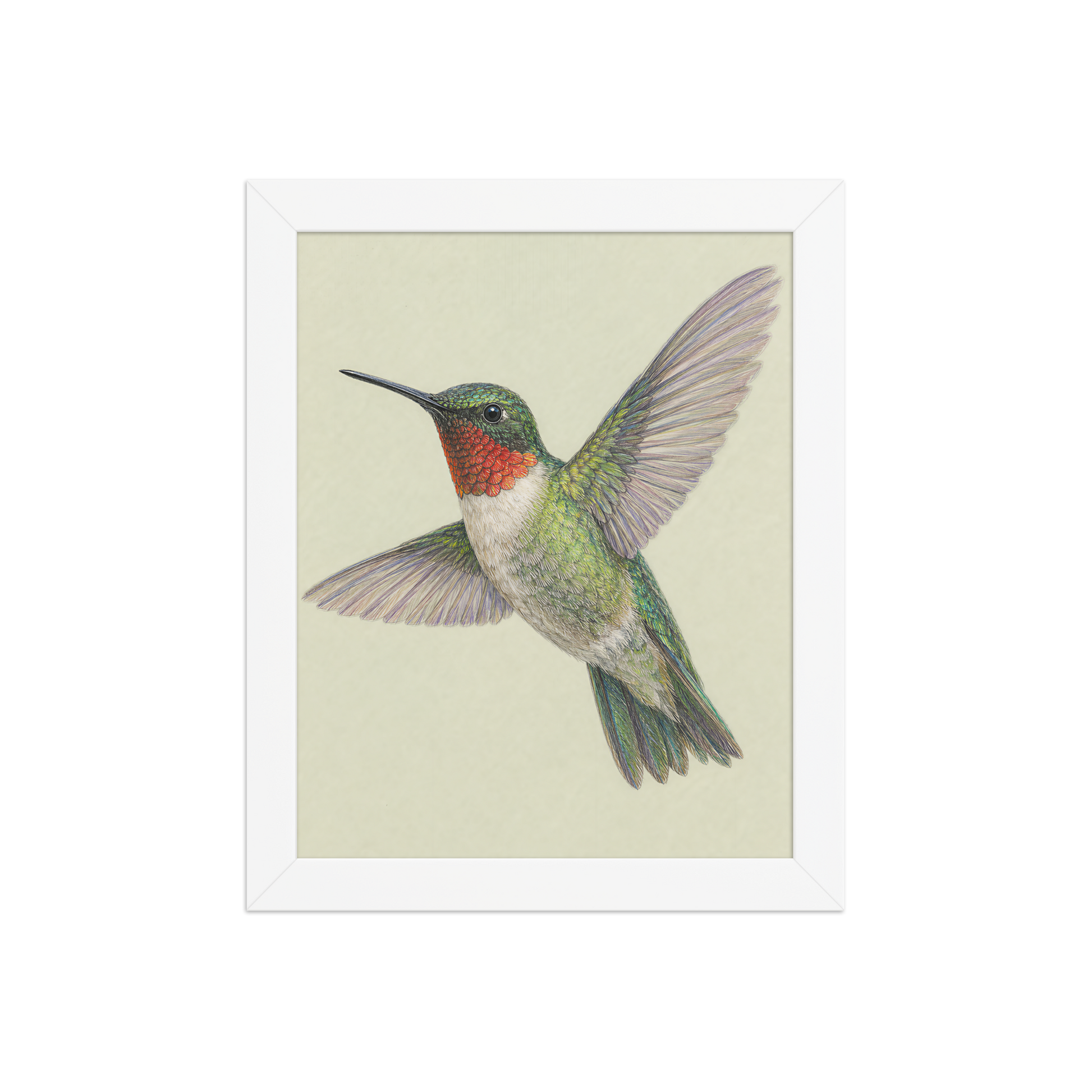 Framed Ruby-throated hummingbird colored pencil illustration print on sage green pastel background, wood frame wall art