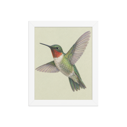 Framed Ruby-throated hummingbird colored pencil illustration print on sage green pastel background, wood frame wall art