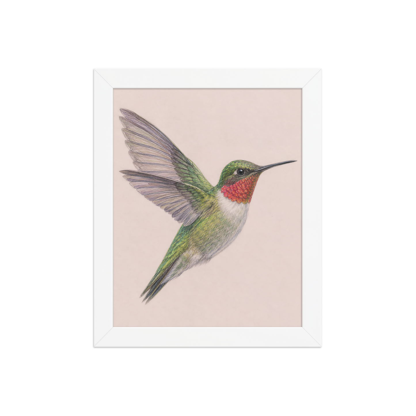 Framed Ruby-throated hummingbird colored pencil illustration print on dusty rose pastel background, wood frame wall art