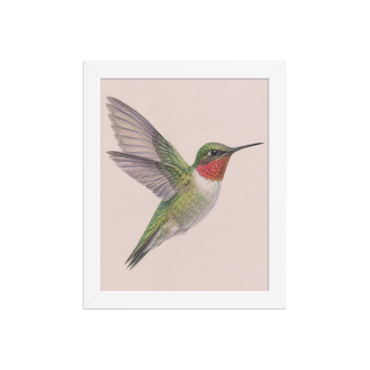 Framed Ruby-throated hummingbird colored pencil illustration print on dusty rose pastel background, wood frame wall art