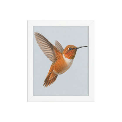 Framed Rufous hummingbird colored pencil illustration print on dusty blue pastel background, wood frame wall art
